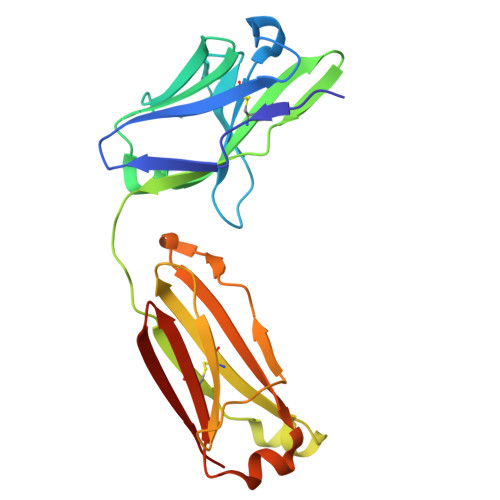 Rcsb Pdb 4o9h Structure Of Interleukin 6 In Complex With A Camelid Fab Fragment