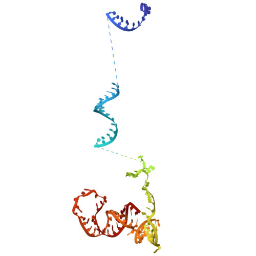 Rcsb Pdb 5o9z Cryo Em Structure Of A Pre Catalytic Human Spliceosome Primed For Activation B Complex