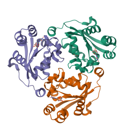 image of structure for 9OAI