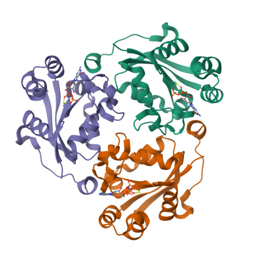 image of structure for 9OAN