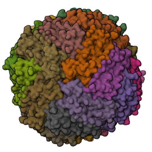 5oba Structure Of A Modified Mouse H Chain Ferritin With A Lanthanide Binding Motif Rcsb Pdb