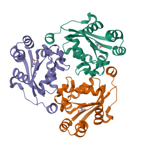 image of structure for 9OBA