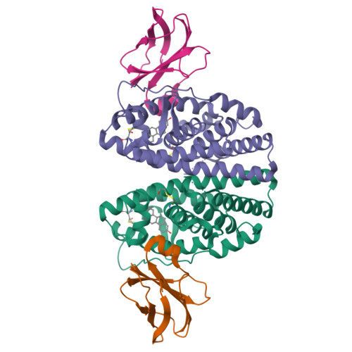 Rcsb Pdb 2ocf Human Estrogen Receptor Alpha Ligand Binding Domain In Complex With Estradiol And The E2 23 Fn3 Monobody