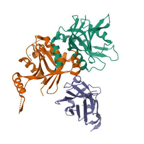 Rcsb Pdb 4ocm Crystal Structure Of The Rpn8 Rpn11 Mpn Domain Heterodimer Crystal Form Ib