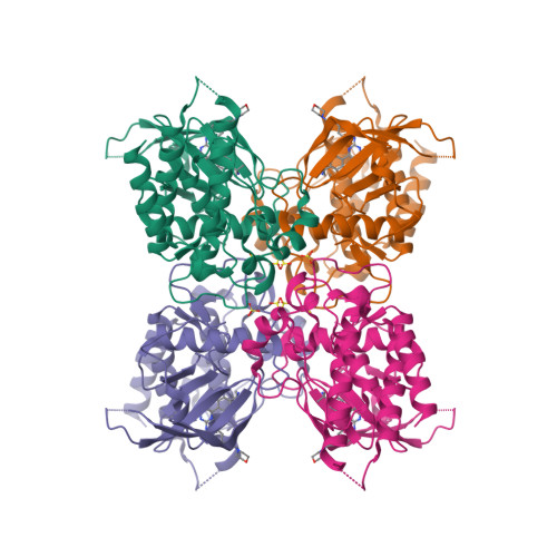 Rcsb Pdb 1oec Fgfr2 Kinase Domain