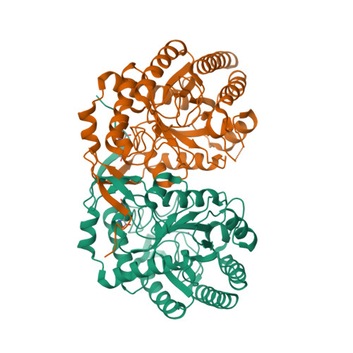 Rcsb Pdb 1of6 Crystal Structure Of The Tyrosine Regulated 3 Deoxy D Arabino Heptulosonate 7 Phosphate Synthase From Saccharomyces Cerevisiae Complexed With Tyrosine And Manganese