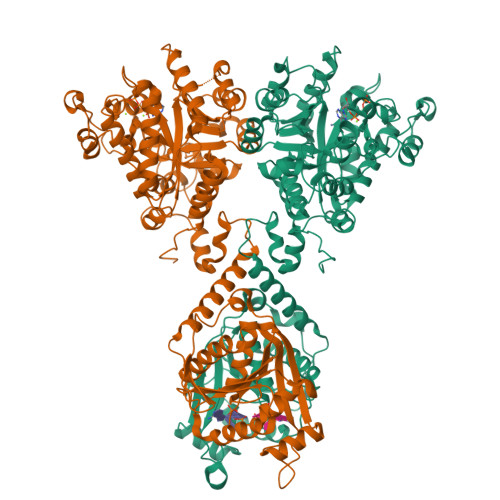 9OFB assembly