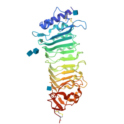 Rcsb Pdb 1ogq The Crystal Structure Of Pgip Polygalacturonase Inhibiting Protein A Leucine Rich Repeat Protein Involved In Plant Defense