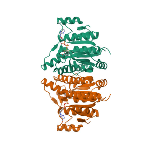 Rcsb Pdb 1oh9 Acetylglutamate Kinase From Escherichia Coli Complexed With Mgadp N Acetyl L Glutamate And The Transition State Mimic Alf4