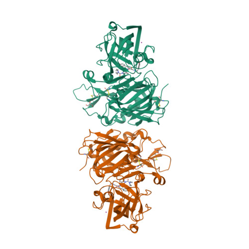 Rcsb Pdb 3ohf Crystal Structure Of Beta Site App Cleaving Enzyme 1 Bace Wt Complex With Bms Aka N 3 1s 2r 1 Benzyl 2 Hydroxy 3 3 Methoxybenzyl Amino Propyl N 1 N 1 Dibutyl 1h Indole 1 3 Dicarboxamide