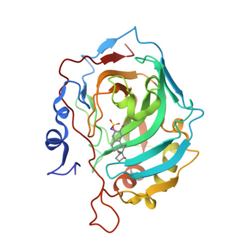 Zichtbaar fluit Reactor RCSB PDB - 3OIL: Human Carbonic anhydrase II mutant A65S, N67Q (CA IX  mimic) bound by 2-Ethylestradiol 3-O-sulfamate