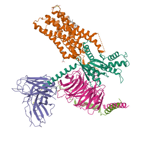 Rcsb Pdb 6oij Muscarinic Acetylcholine Receptor 1 G11 Protein Complex
