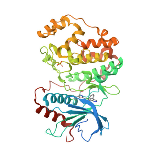 Rcsb Pdb 2ojj Crystal Structure Of Erk2 In Complex With S N 1 3 Chloro 4 Fluorophenyl 2 Hydroxyethyl 4 4 3 Chlorophenyl 1h Pyrazol 3 Yl 1h Pyrrole 2 Carboxamide