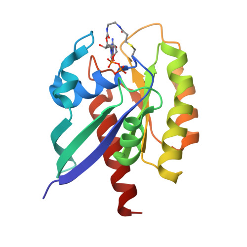 RCSB PDB: Homepage