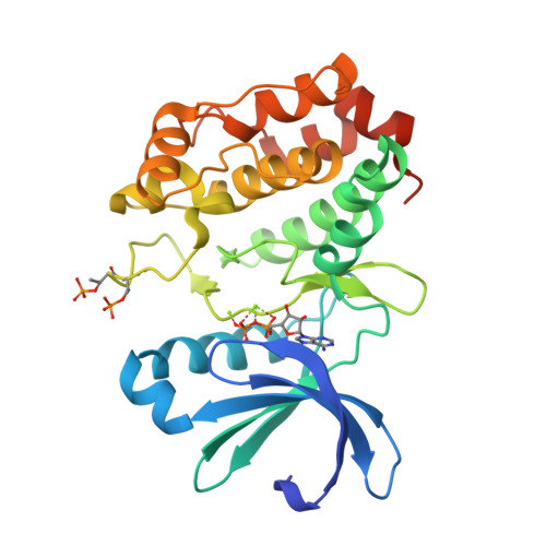 Rcsb Pdb 1ol7 Structure Of Human Aurora A 122 403 Phosphorylated On Thr287 Thr288