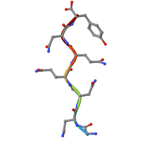 Rcsb Pdb 2omm Gnnqqny Peptide Corresponding To Residues 7 13 Of Yeast Prion Sup35