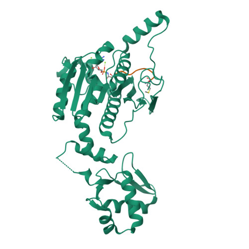 Rcsb Pdb 6om4 The Structure Of Microcin C7 Biosynthetic Enzyme Mccb In Complex With N Formylated Mcca