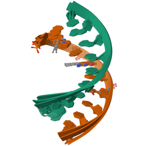 Rcsb Pdb 1oo7 Dna Rna Hybrid Duplex Containing A 5 Propyne Dna Strand And Purine Rich Rna Strand Nmr 4 Structures