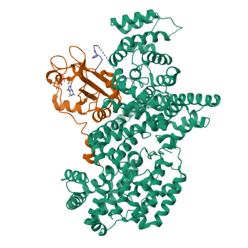 Rcsb Pdb 5oo6 Complex Of Human Nuclear Cap Binding Complex With Ars2 C Terminal Peptide