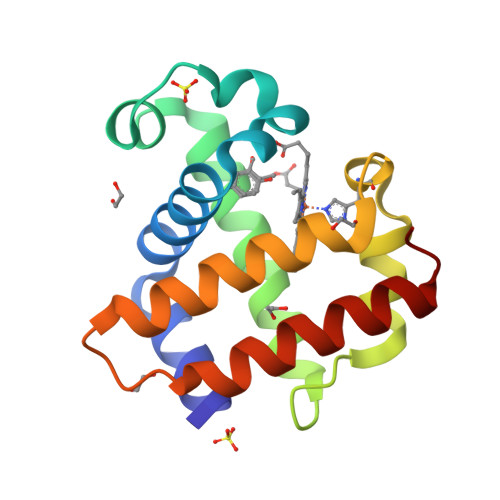 Rcsb Pdb 6oo1 Dehaloperoxidase B In Complex With Substrate O Cresol