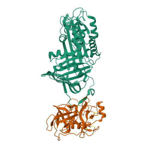 1oph Non Covalent Complex Between Alpha 1 Pi Pittsburgh And S195a Trypsin Rcsb Pdb