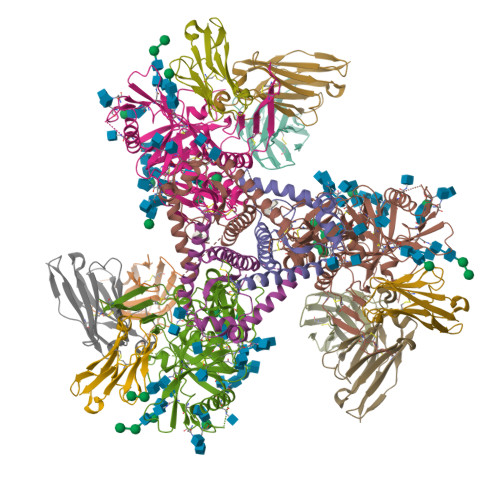 Rcsb Pdb 6opp Asymmetric Model Of Cd4 And 17 Bound B41 Hiv 1 Env Sosip In Complex With Ddm