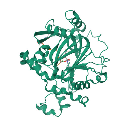 Rcsb Pdb 2oq6 Crystal Structure Of Jmjd2a Complexed With Histone H3 Peptide Trimethylated At Lys9