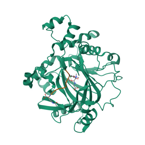 Rcsb Pdb 2oq6 Crystal Structure Of Jmjd2a Complexed With Histone H3 Peptide Trimethylated At Lys9