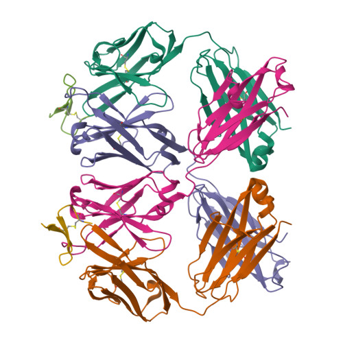 Rcsb Pdb 2oqj Crystal Structure Analysis Of Fab 2g12 In Complex With Peptide 2g12 1