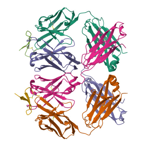 Rcsb Pdb 2oqj Crystal Structure Analysis Of Fab 2g12 In Complex With Peptide 2g12 1