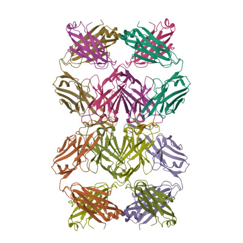 Rcsb Pdb 2oqj Crystal Structure Analysis Of Fab 2g12 In Complex With Peptide 2g12 1