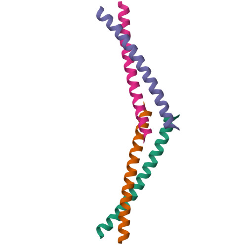 Rcsb Pdb 2oqq Crystal Structure Of Hy5 Leucine Zipper Homodimer From Arabidopsis Thaliana