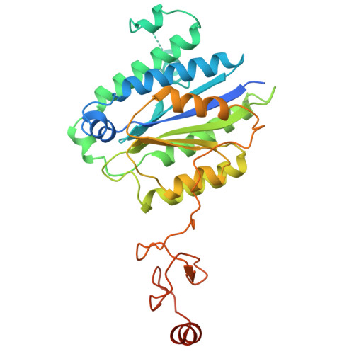 Rcsb Pdb 5oqm Structure Of Yeast Transcription Pre Initiation Complex With Tfiih And Core Mediator