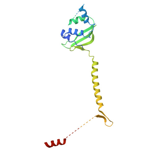 Rcsb Pdb 5oqm Structure Of Yeast Transcription Pre Initiation Complex With Tfiih And Core Mediator