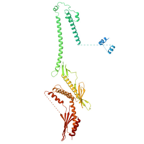 Rcsb Pdb 5oqm Structure Of Yeast Transcription Pre Initiation Complex With Tfiih And Core Mediator