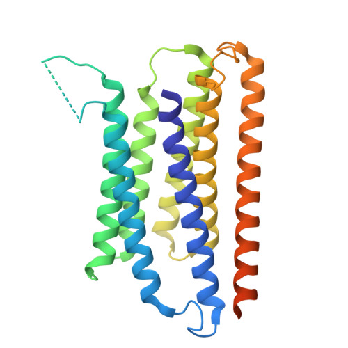 Rcsb Pdb 7oqz Cryo Em Structure Of Human Tmem45a