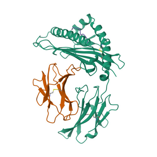 Rcsb Pdb 1osz Mhc Class I H 2kb Heavy Chain Complexed With Beta 2 Microglobulin And An L4v Mutant Of The Vesicular Stomatitis Virus Nucleoprotein