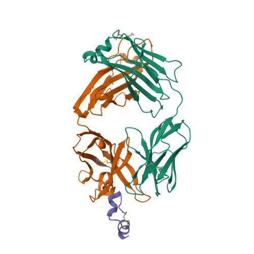 Rcsb Pdb 2osl Crystal Structure Of Rituximab Fab In Complex