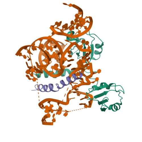 5OSG assembly
