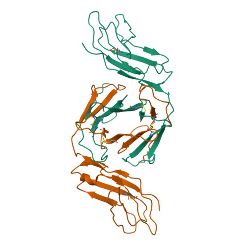 Rcsb Pdb 2otp Crystal Structure Of Immunoglobulin Like Transcript 1 Ilt1 Lir7 Lilra2