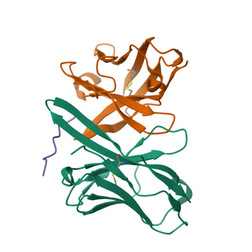 Rcsb Pdb 2otw Crystal Structure Of Fv Polyglutamine Complex