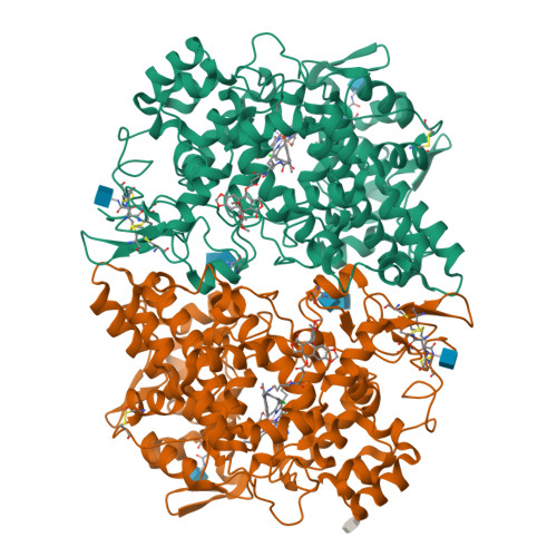 Rcsb Pdb 4otj The Complex Of Murine Cyclooxygenase 2 With A Conjugate Of Indomefathin And Podophyllotoxin N Succinylpodophyllotoxinyl But 4 Yl 2 1 4 Chlorobenzoyl 5 Methoxy 2 Methyl 1h Indol 3 Yl Acetamide