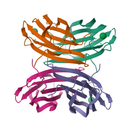 Rcsb Pdb 1ovs Lecb Pa Lii In Complex With Core Trimannoside