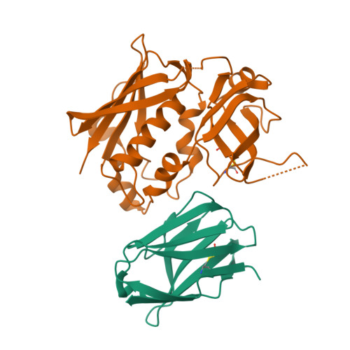 Rcsb Pdb 3owe Crystal Structure Of Staphylococcal Enterotoxin G Seg In Complex With A High Affinity Mutant Mouse T Cell Receptor Chain