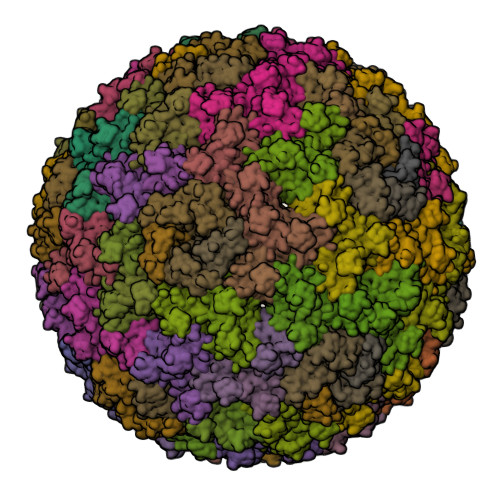 Rcsb Pdb 6owg Structure Of A Synthetic Beta Carboxysome Shell T 4