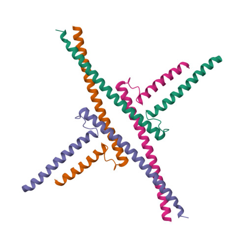 Rcsb Pdb Ox Crystal Structure Of The Keratin Like Domain From The Mads Transcription Factor