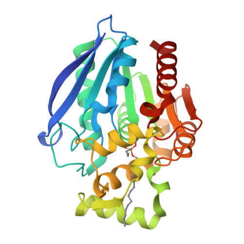 Rcsb Pdb 7p0y Crystal Structure Of Mtbmgl K74a Substrate Analog Complex