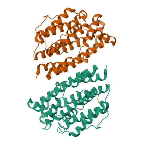 Rcsb Pdb 2p1i Plasmodium Yoelii Ribonucleotide Reductase Subunit R2 Py