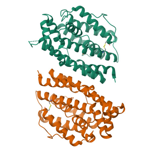 Rcsb Pdb 2p1i Plasmodium Yoelii Ribonucleotide Reductase Subunit R2 Py