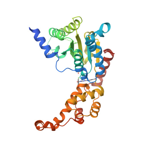 Rcsb Pdb 6p12 Structure Of Spastin a Domain Wild Type In Complex With Diaminotriazole Based Inhibitor